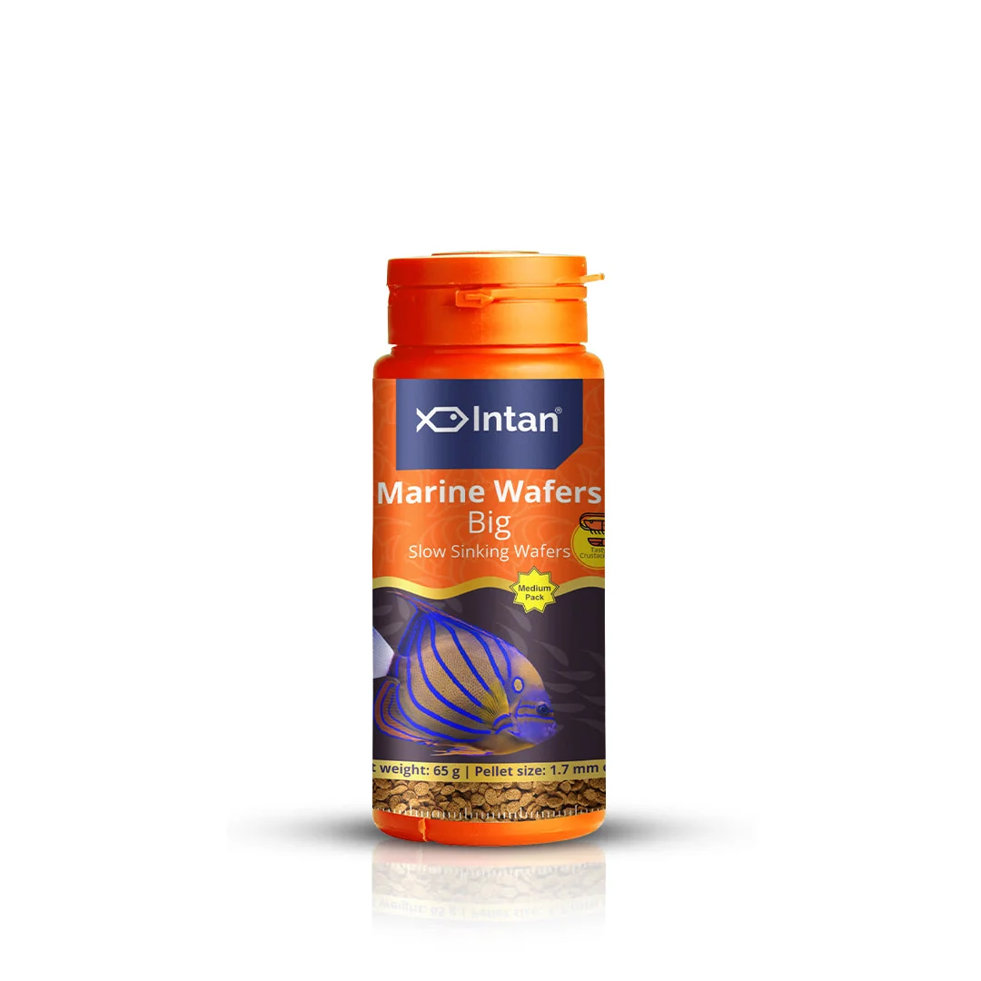 Marine Wafers Big Sinking pellet