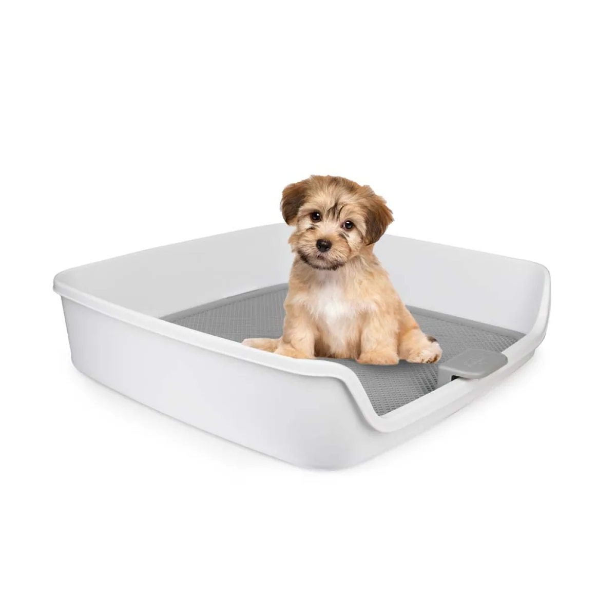 Go Fresh – Dog Pee Pad Holder Tray image 1
