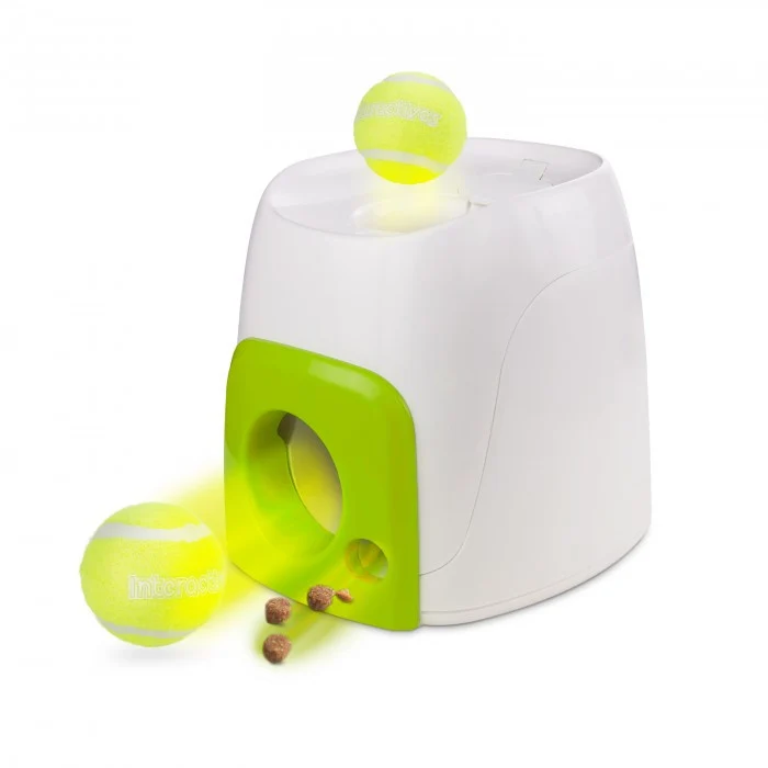 Interactive Fetch'N Treat image 1