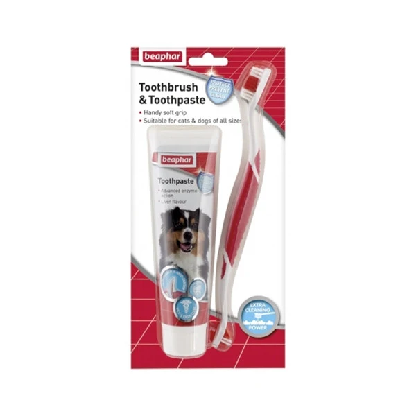 Toothbrush & Toothpaste image 1