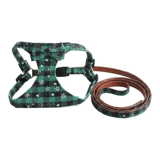 Harness+Leash Green image 1