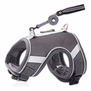 Dog Harness Gray image 1