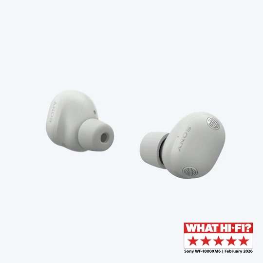 Wireless Noise Cancelling Earbuds