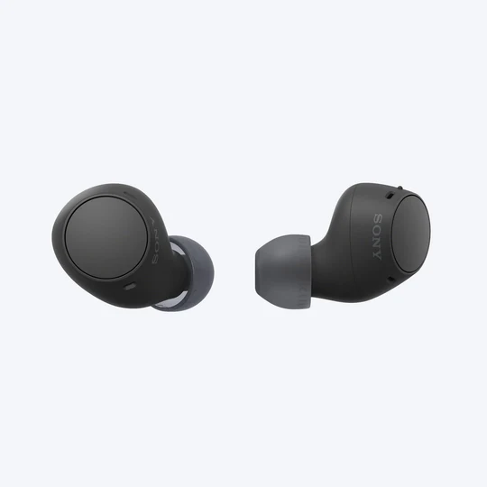 Truly Wireless Earbuds