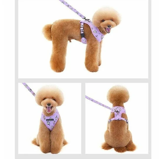Dog Harness Purple Small image 1