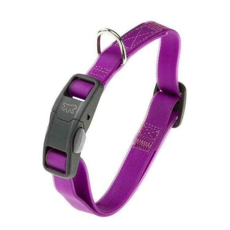 C16/32 Violet Dog Collar image 1