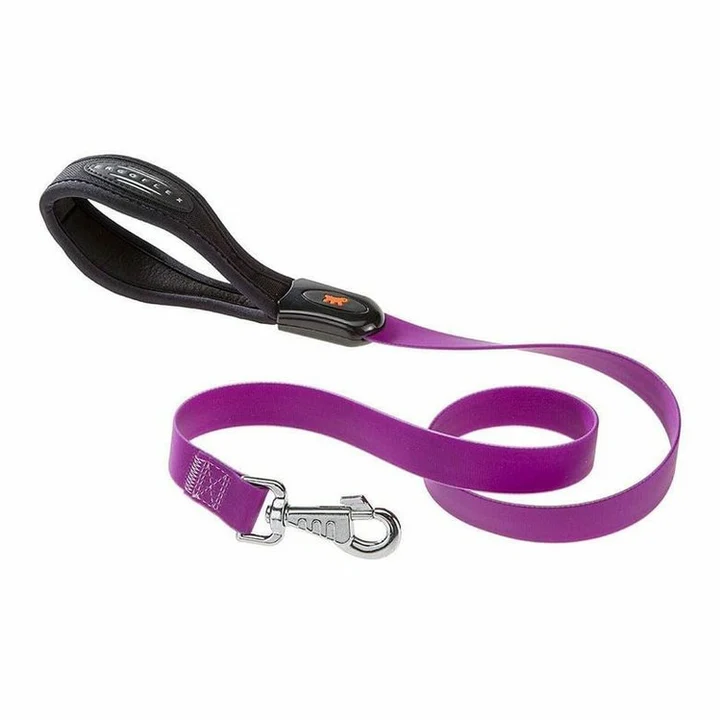 G16/110 Violet Dog Leash image 1