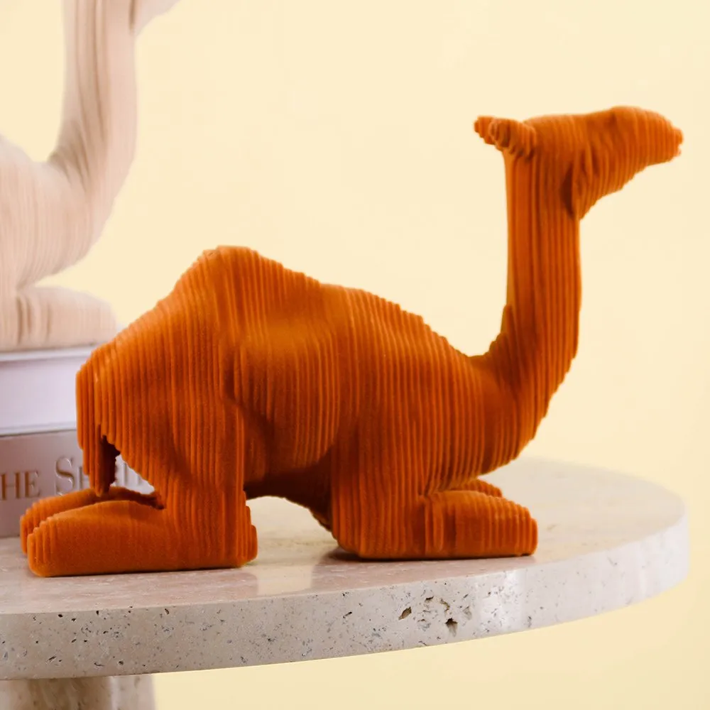 Creative Camel thumbnail 2