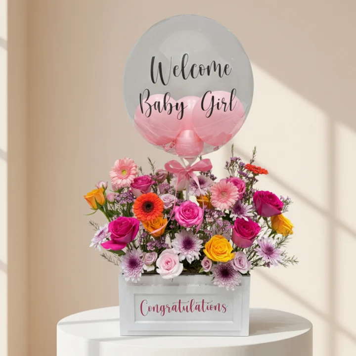 Newborn Welcome Baby Girl thumbnail 2