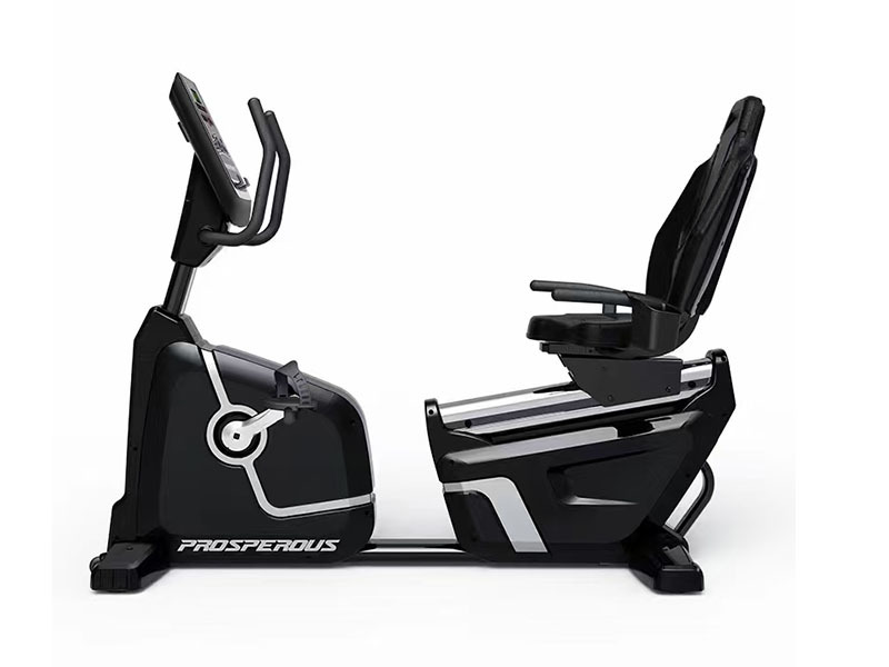 Recumbent Bike T73