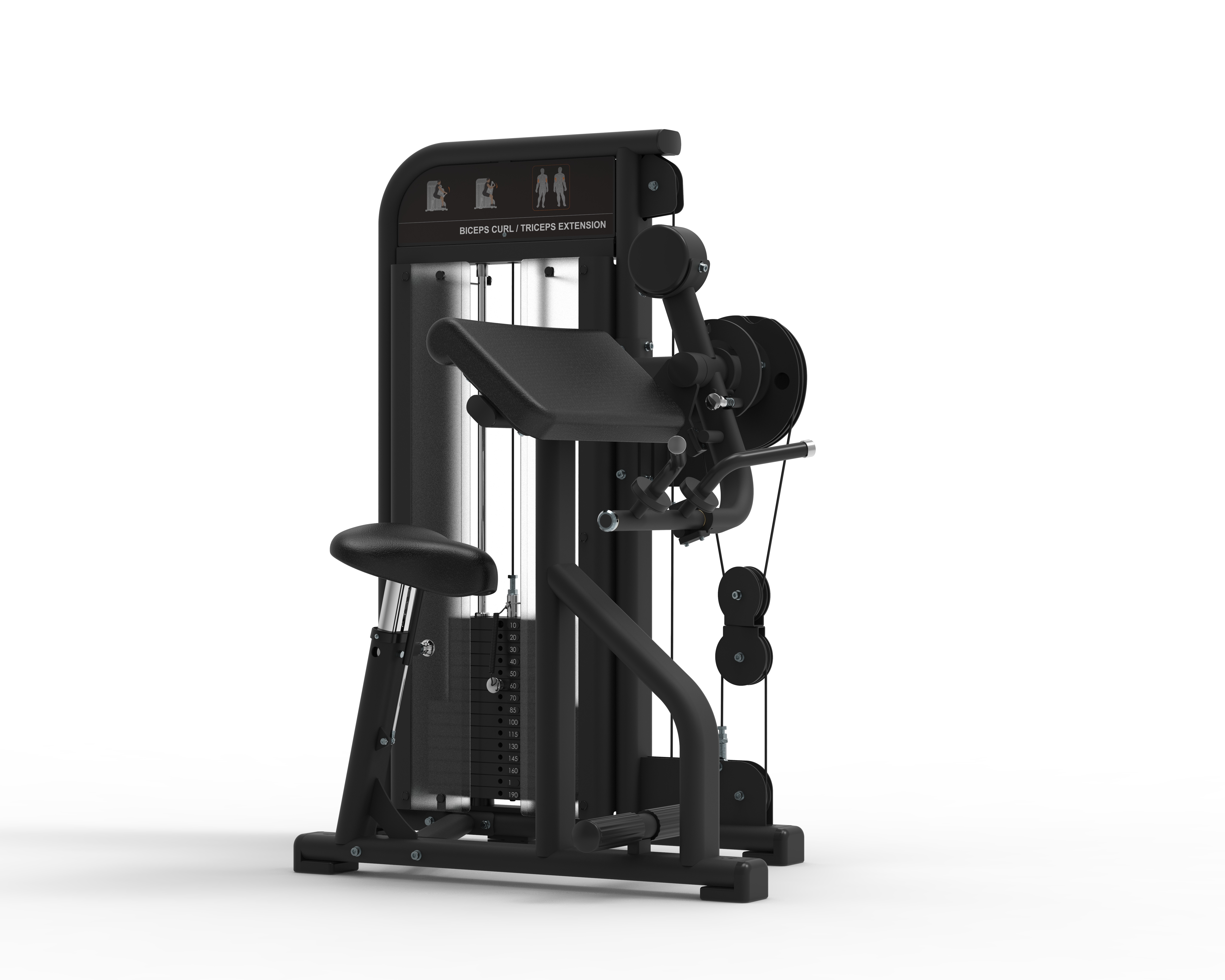 M5102 Biceps Curl / Triceps Extension