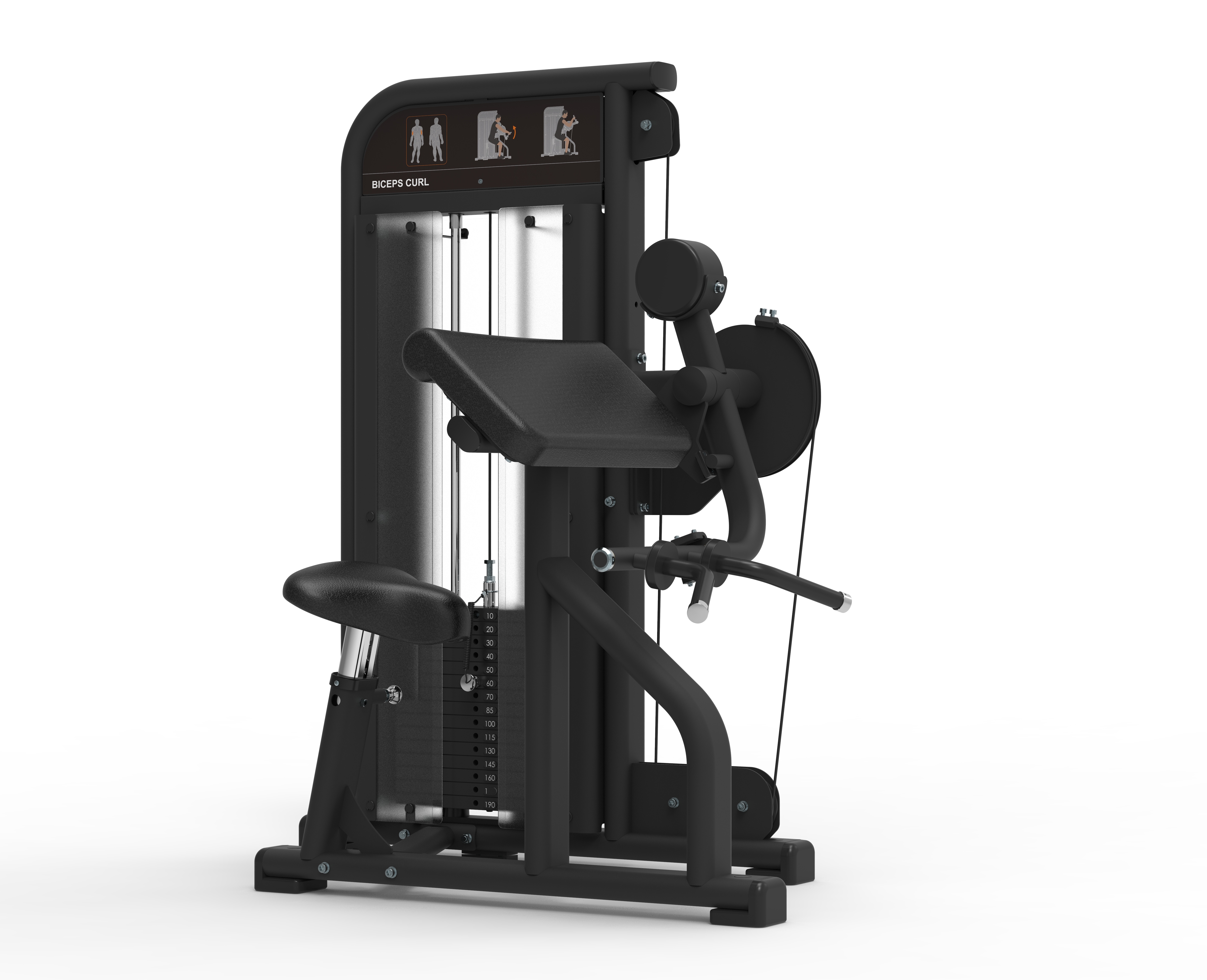 M5103 Biceps Curl