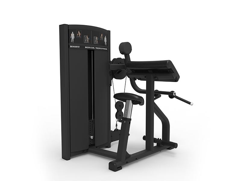 T2102 Biceps Curl/Triceps Machine