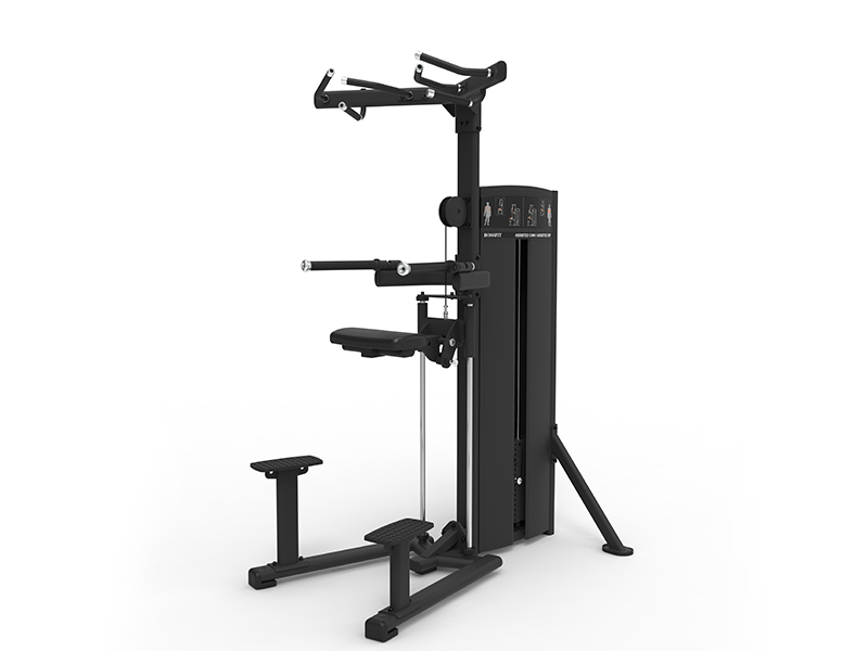 T2700 Chin/Dip Assist Machine