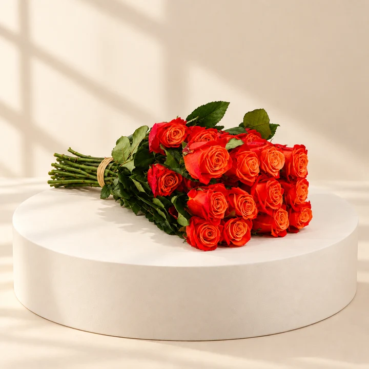 Orange Roses