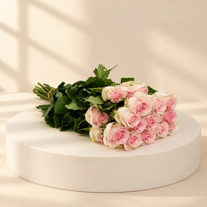 Pink Roses