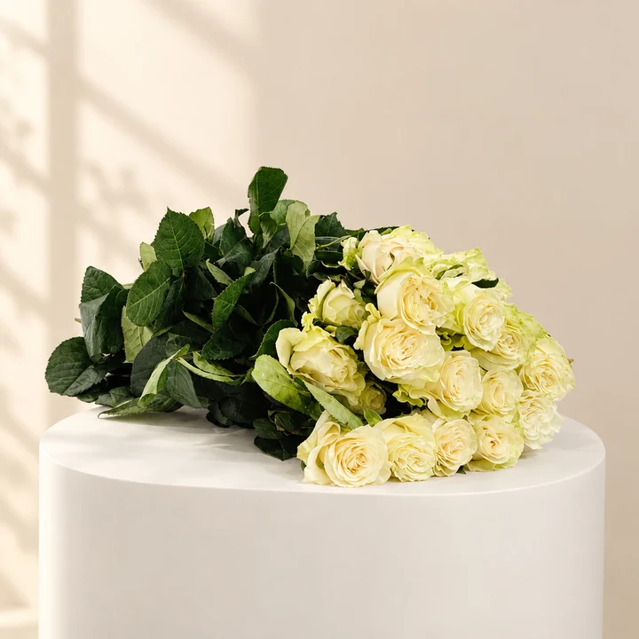 White Roses