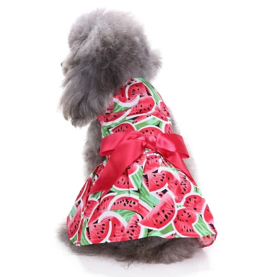 Cute Watermelon Pet Dress Red image 1