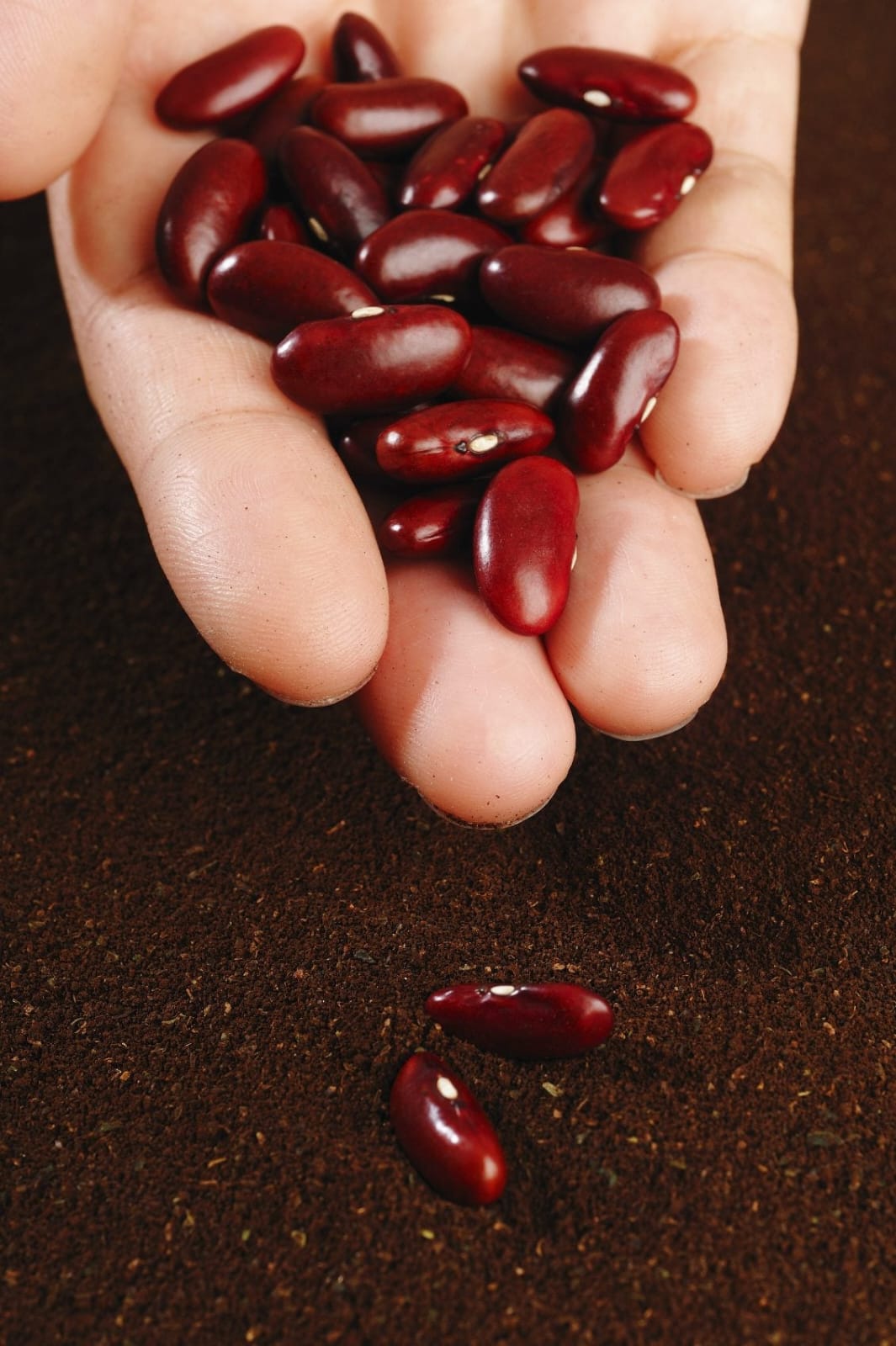 Kidney spices thumbnail 2