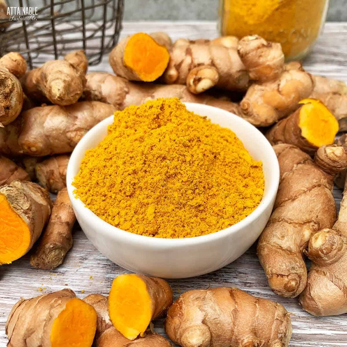 Turmeric powder thumbnail 2