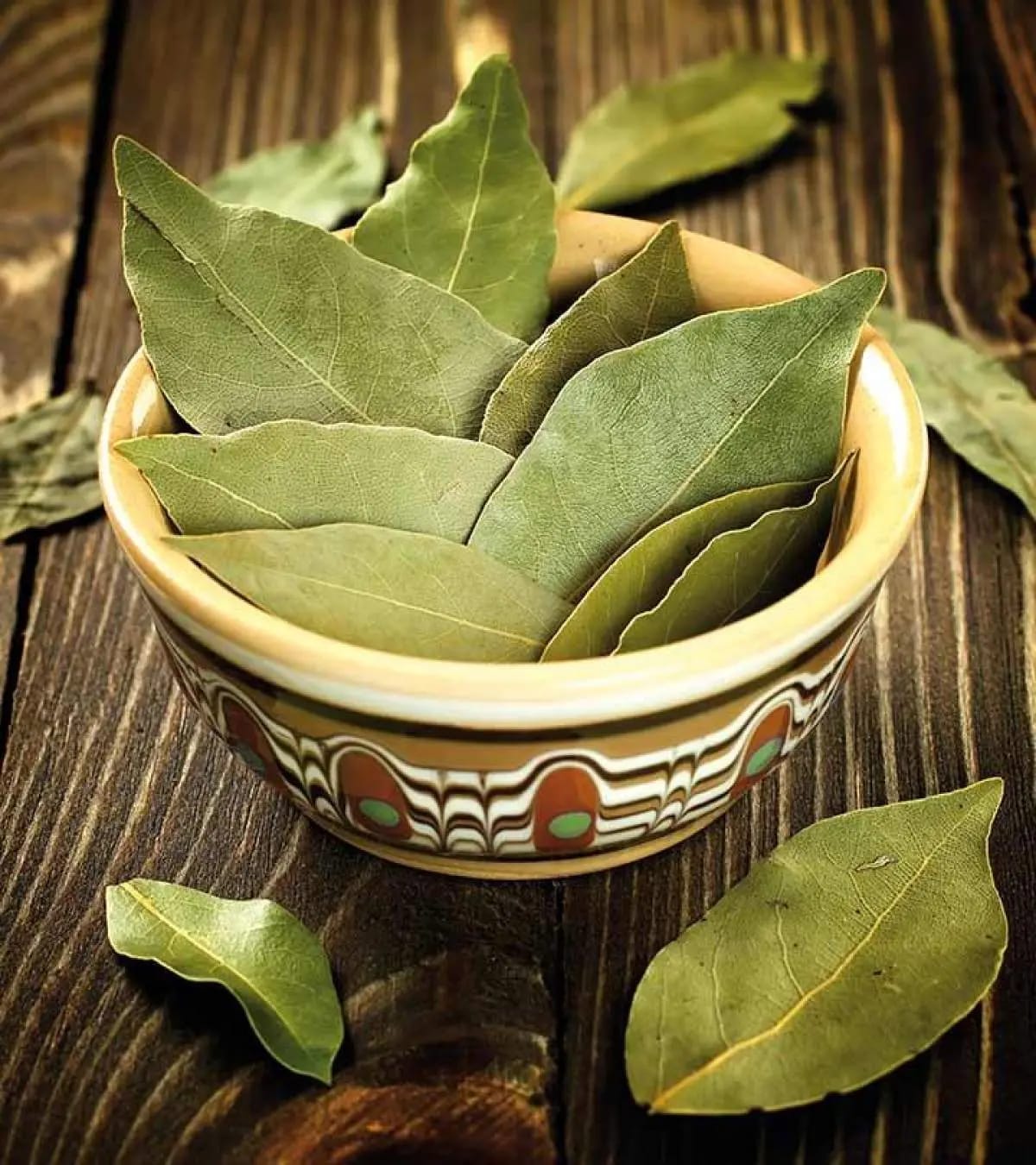 Bay leaves thumbnail 2