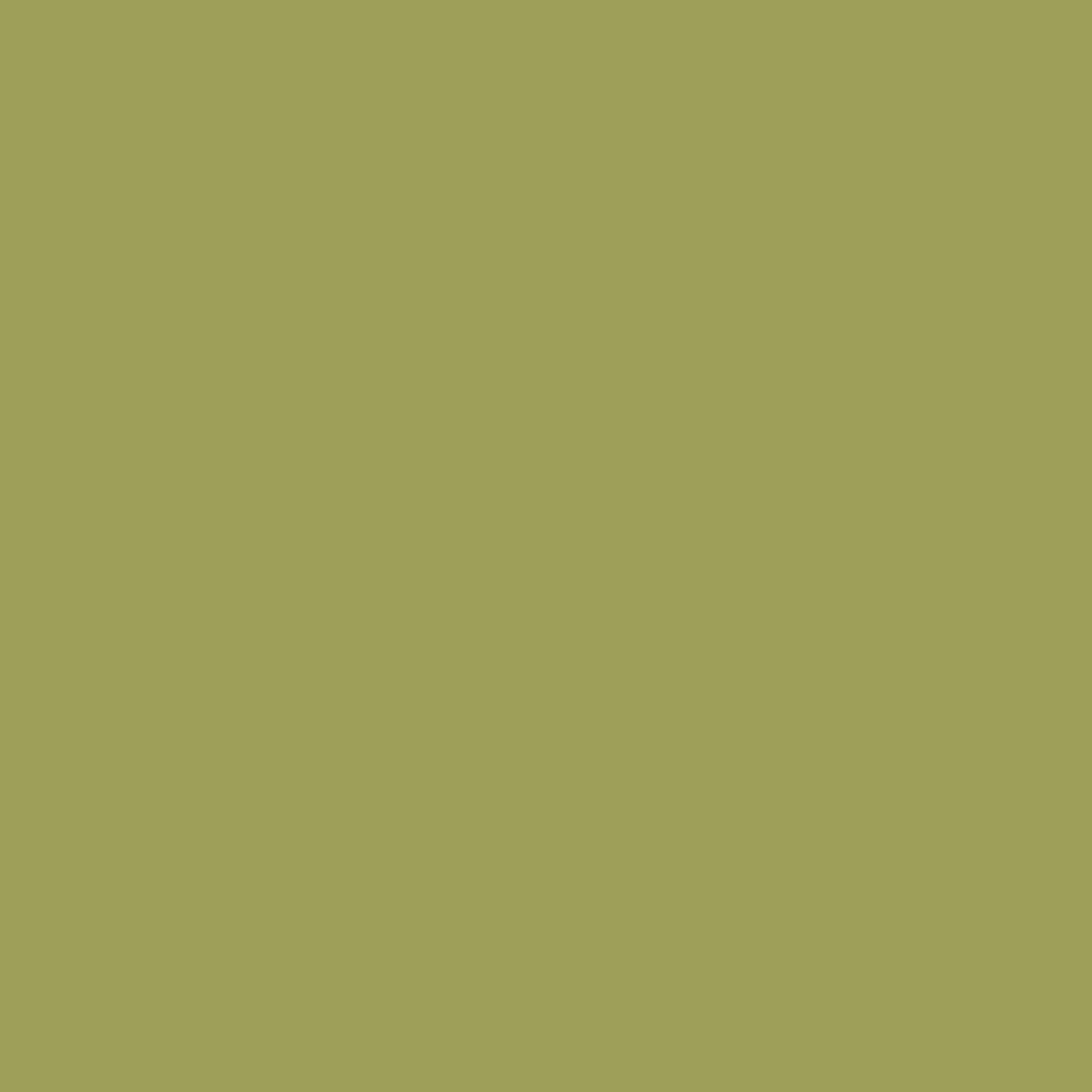 EMAILY #13 Tropical Green SEAMLESS PAPER 2.72M X 10M