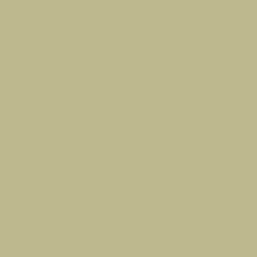 BD #223 Pistachio Background Paper 2.72m x 11m