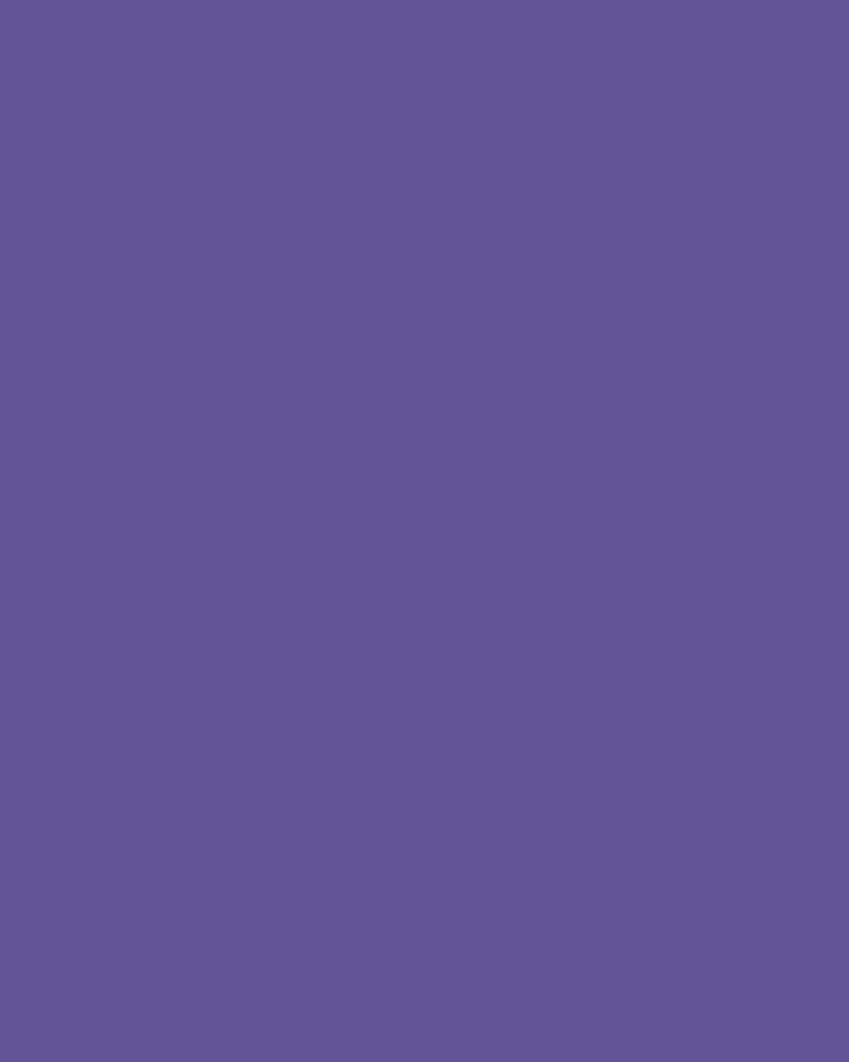 EMAILY #68 Deep Purple 2.72*10m SEAMLESS BACKGROUND PAPER thumbnail 2