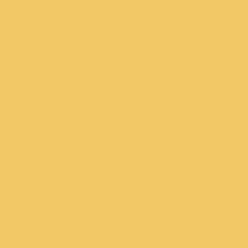 Emaily #18 Buff 2.72m x 10m Seamless Background Paper Roll thumbnail 2