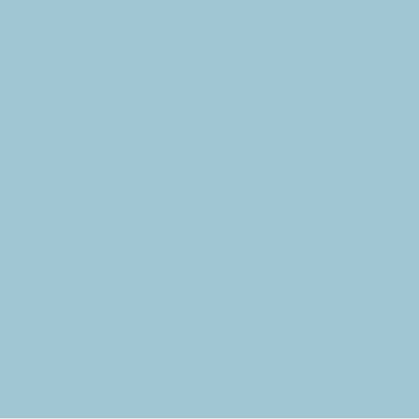 EMAILY #02 SKY BLUE 2.72*10m SEAMLESS BACKGROUND PAPER