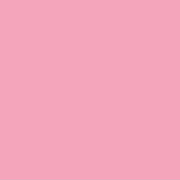 EMAILY#17 PINK SEAMLESS BACKGROUND PAPER(2.72M*10M)