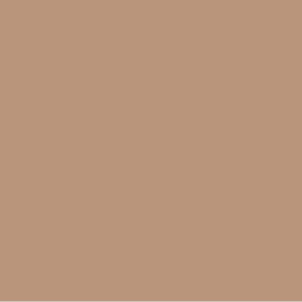 EMAILY #25 BEIGE 2.72X10m SEAMLESS BACKGROUND PAPER