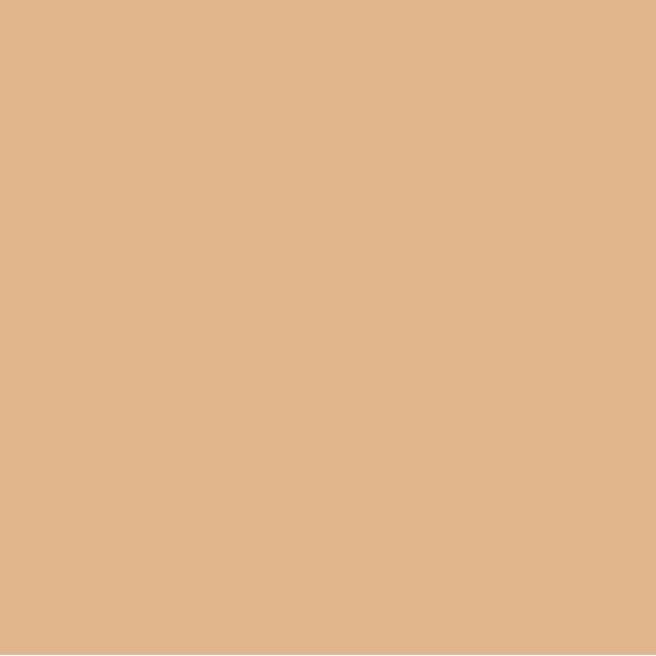 EMAILY #26 PONGEE SEAMLESS BACKGROUND PAPER (2.72X10M)