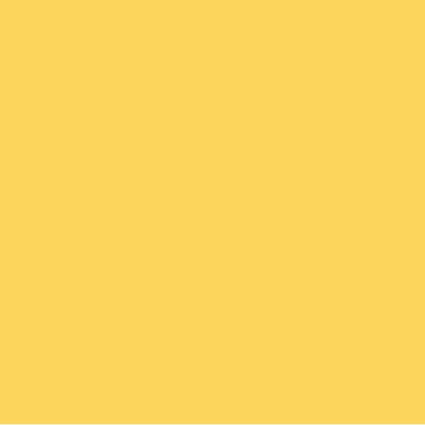 EMAILY #50 ASPEN 2.72*10m SEAMLESS BACKGROUND PAPER