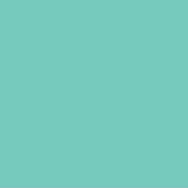 EMAILY #55 ALPINE 2.72*10m SEAMLESS BACKGROUND PAPER