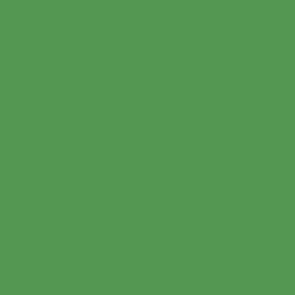 Emaily #54 Stinger Seamless Backdrop Paper (2.72X10)