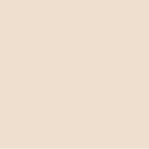 EMAILY #64 FAWN 2.72*10m SEAMLESS BACKGROUND PAPER
