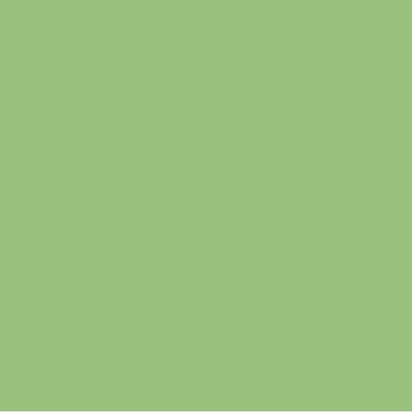 EMAILY #63 APPLE 2.72X10m SEAMLESS BACKGROUND PAPER