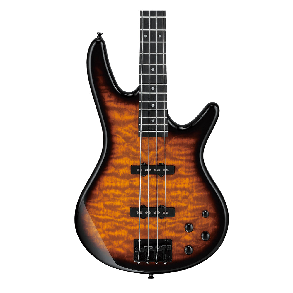 Ibanez Gio Series GSR280QA TYS  4-String Electric Bass Guitar - Transparent Yellow Sunburst thumbnail 2