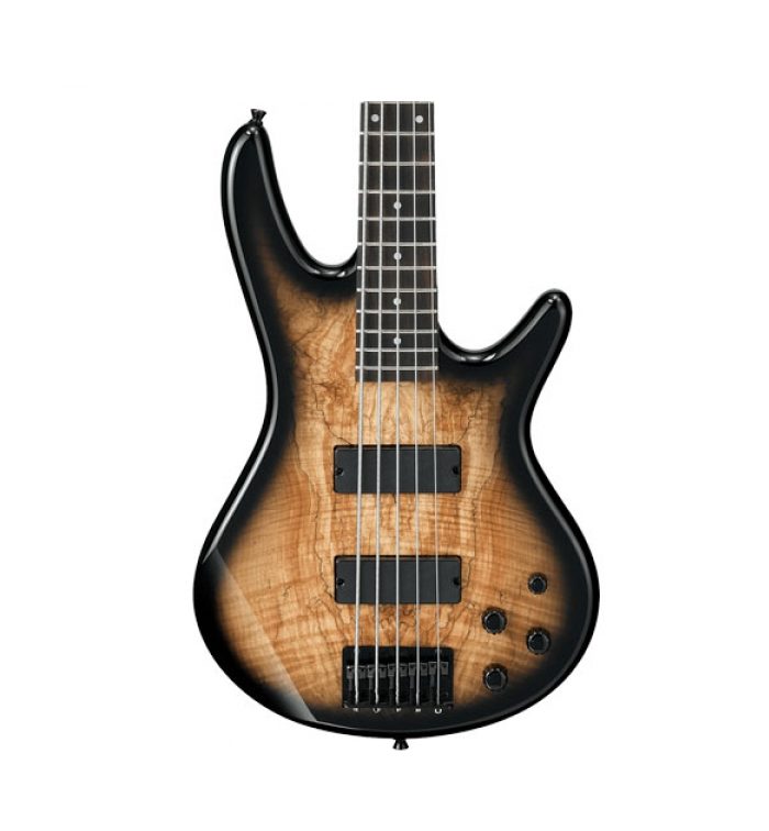 Ibanez Gio Series GSR205SM-NGT Gio 5-String Electric Bass Guitar Natural Gray Burst thumbnail 2